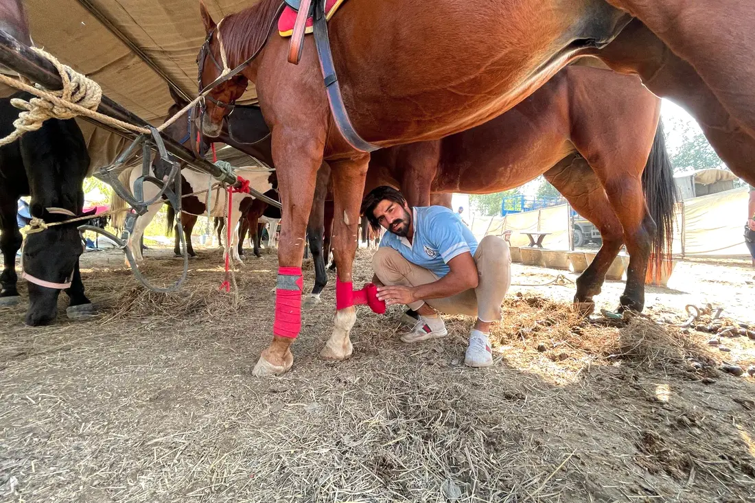 Shod by hand, balanced to the horse